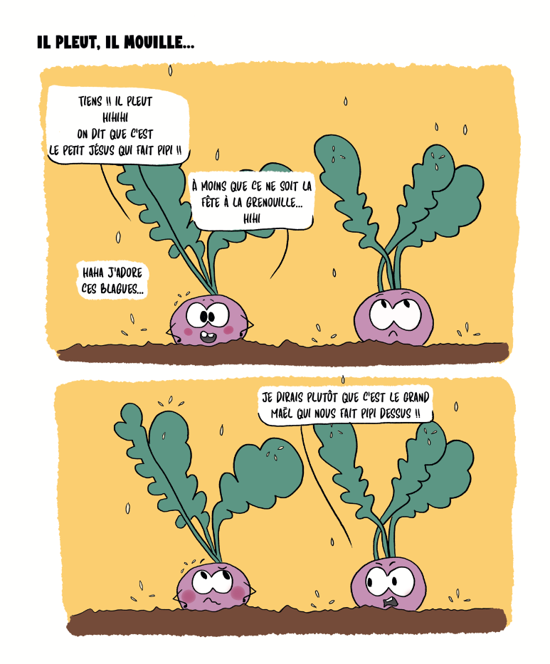 Super Carotte 5 - Hors Céleri