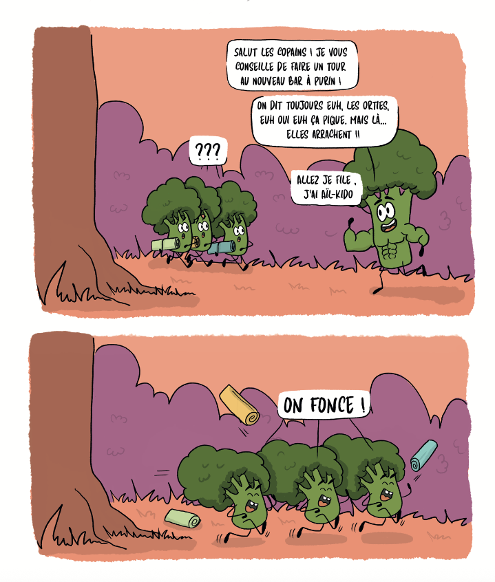 Super Carotte 5 - Hors Céleri